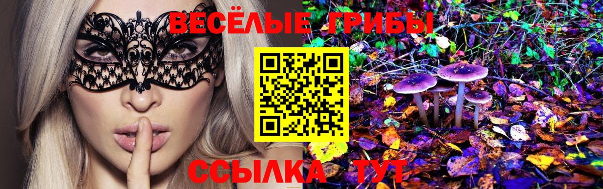где можно купить наркотик  Вход с VPN  Краснотурьинск  Псилоцибиновые грибы Magic Shrooms 
